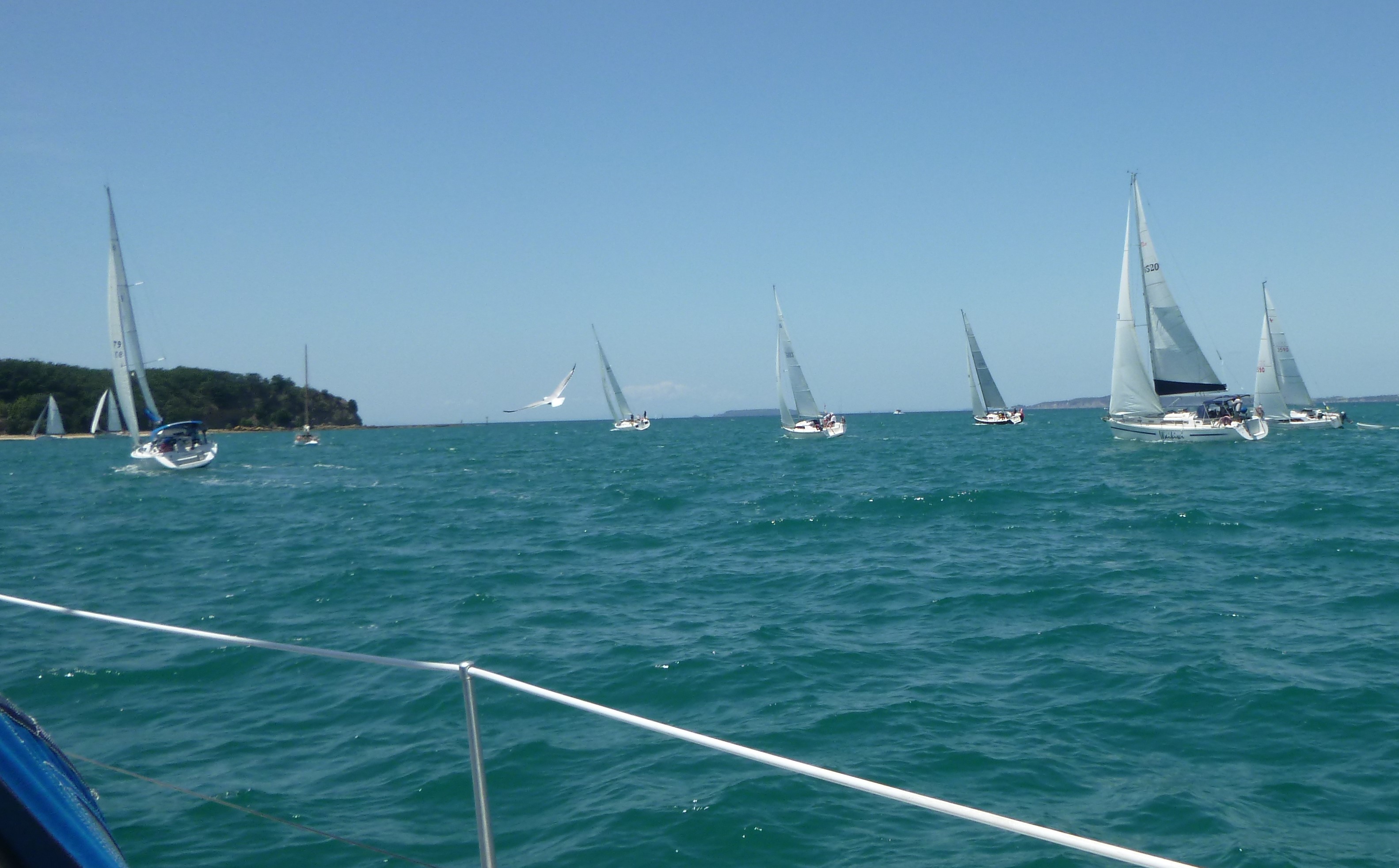 Interclub race with GHYC and MCC